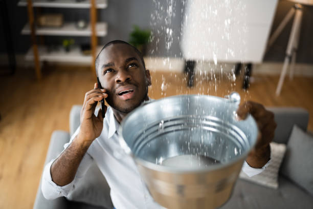 Best Water damage restoration near me  in Milaca, MN