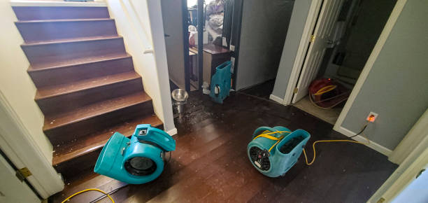 Best Water damage cleanup near me  in Milaca, MN