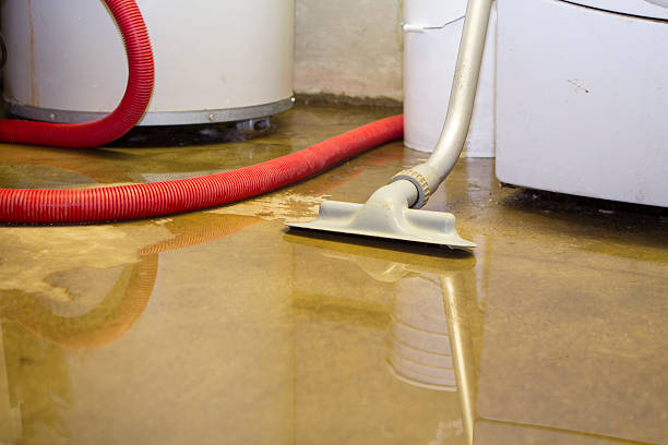 Best Water damage mitigation services  in Milaca, MN
