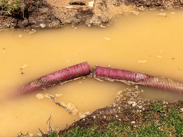 Best Residential water damage restoration  in Milaca, MN