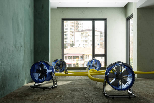Best 24/7 water damage repair  in Milaca, MN