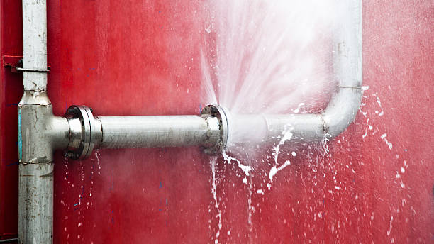 Best Water damage restoration cost  in Milaca, MN