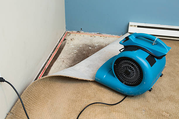 Trusted Milaca, MN Water damage restoration Experts